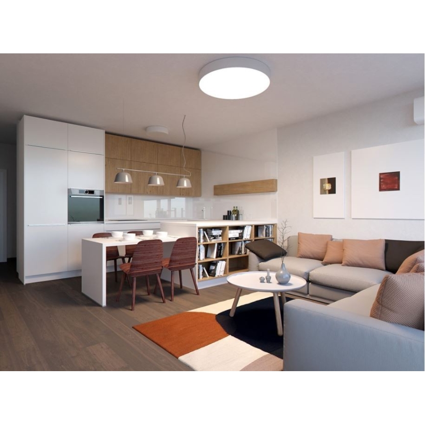 LED2 - Стельовий LED світильник MONO LED/60W/230V 3000/4000K білий
