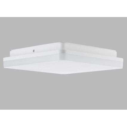 LED2 - Стельовий LED світильник SQUARE LED/12W/230V IP54 3000/4000/5700K
