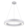LED2 - Светодиодная подвесная люстра SATURN LED/50W/230V 3000/4000K белый