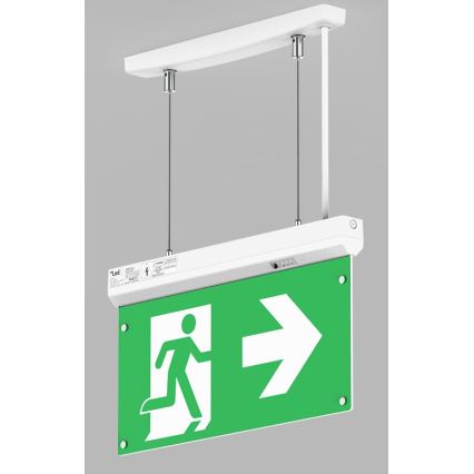 LED2 - Светодиодный аварийный светильник SAFE ALL LED/2W/3,6V 6000K IP40