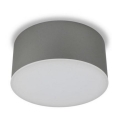 LED2 - Светодиодный потолочный светильник BUTTON LED/17W/230V серебряный