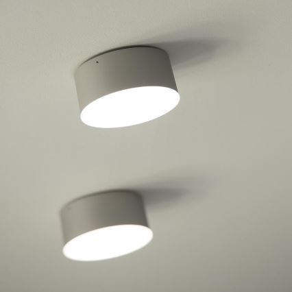 LED2 - Светодиодный потолочный светильник BUTTON LED/17W/230V серебряный