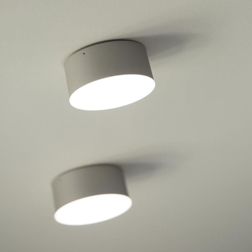 LED2 - Светодиодный потолочный светильник BUTTON LED/17W/230V серебряный