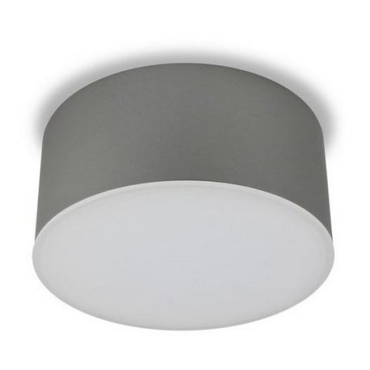 LED2 - Светодиодный потолочный светильник BUTTON LED/17W/230V серебряный