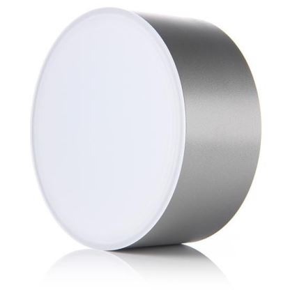 LED2 - Светодиодный потолочный светильник BUTTON LED/17W/230V серебряный