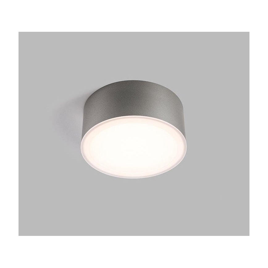 LED2 - Светодиодный потолочный светильник BUTTON LED/17W/230V серебряный