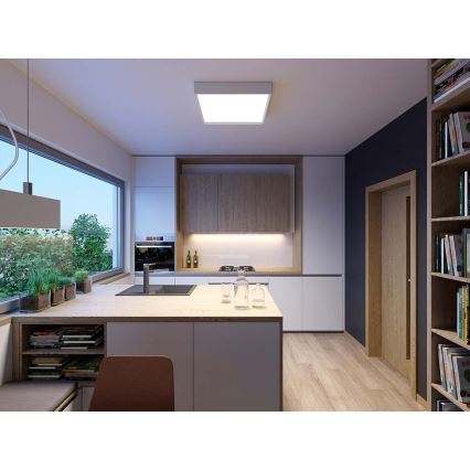 LED2 - Светодиодный потолочный светильник MILO LED/30W/230V белый 3000/4000K