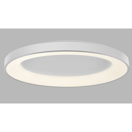 LED2 - Светодиодный потолочный светильник с регулированием яркости BELLA LED/80W/230V 3000K/4000K белый