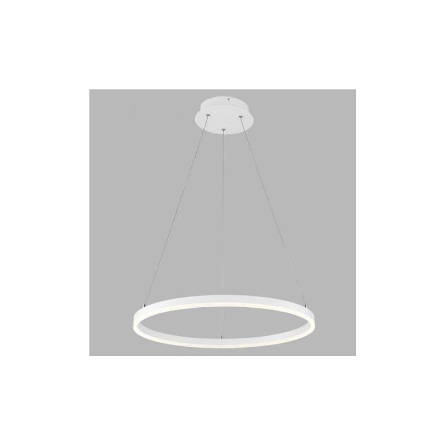 LED2 - Светодиодная люстра на тросе CIRCLE LED/42W/230V