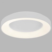 LED2 - Светодиодный потолочный светильник BELLA LED/40W/230V 3000/4000K белый