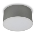 	LED2 - Светодиодный потолочный светильник BUTTON LED/17W/230V серебряный