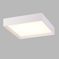 LED2 - Светодиодный потолочный светильник MILO LED/30W/230V белый 3000/4000K
