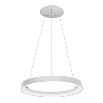 LED2 - Світлодіодна підвісна люстра BELLA LED/48W/230V 3000K/4000K білий