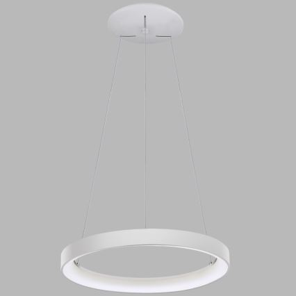 LED2 - Світлодіодна підвісна люстра BELLA LED/48W/230V 3000K/4000K білий