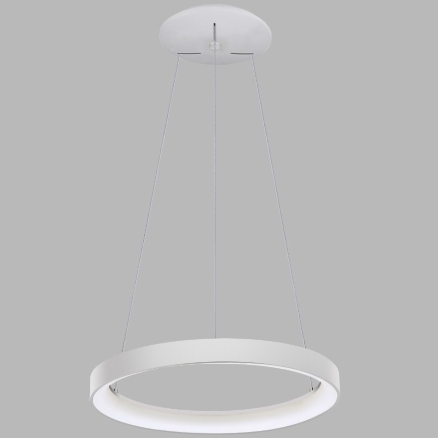 LED2 - Світлодіодна підвісна люстра BELLA LED/48W/230V 3000K/4000K білий