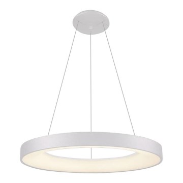 LED2 - Світлодіодна підвісна люстра BELLA LED/50W/230V 3000K діаметр 60 см біла