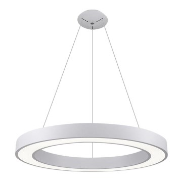 LED2 - Світлодіодна підвісна люстра SATURN LED/80W/230V 3000K діаметр 80 см біла
