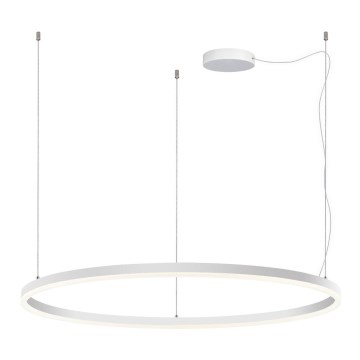 LED2 - Світлодіодна підвісна люстра з регулюванням яскравості CIRCLE LED/80W/230V 3000K/4000K діаметр 100 см білий