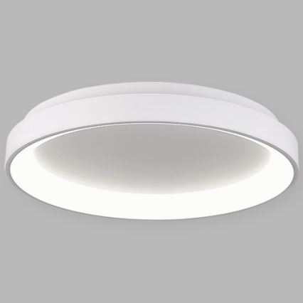 LED2 - Світлодіодний стельовий світильник BELLA LED/48W/230V 3000K/4000K білий