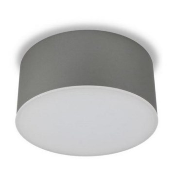 LED2 - Світлодіодний стельовий світильник BUTTON LED/17W/230V срібна
