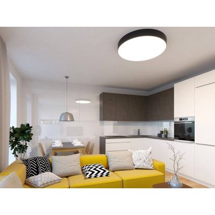 LED2 - Світлодіодний стельовий світильник MONO LED/30W/230V 3000K/4000K чорний
