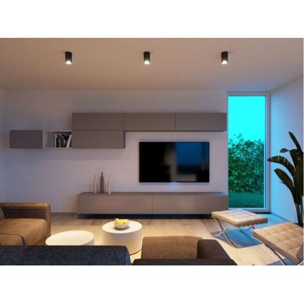 LED2 - Світлодіодний стельовий світильник TUBUS LED/9W/230V чорна