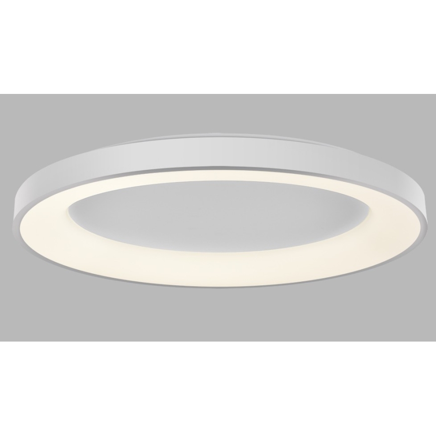 LED2 - Світлодіодний стельовий світильник з регулюванням яскравості BELLA LED/80W/230V 3000K/4000K білий