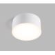 LED2 - Світлодіодний стельовий світильник BUTTON LED/17W/230V біла