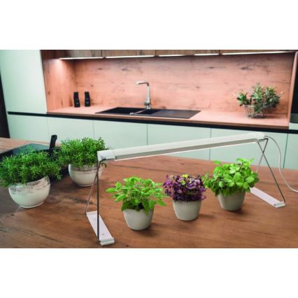 Ledvance - Світлодіодна внутрішня лампа для рослин GARDEN LIGHT LED/14W/230V