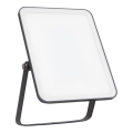 Ledvance - LED Вуличний настінний прожектор FLOODLIGHT ESSENTIAL LED/30W/230V 4000K IP65