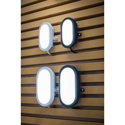 Ledvance - LED Вуличний настінний світильник BULKHEAD LED/11W/230V IP54 чорний
