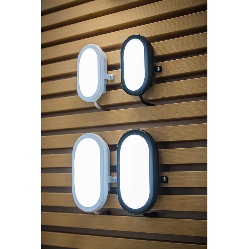 Ledvance - LED Вуличний настінний світильник BULKHEAD LED/11W/230V IP54 чорний