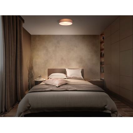 Ledvance - Потолочный светильник ORBIS PARIS 1xE27/25W/230V коричневый