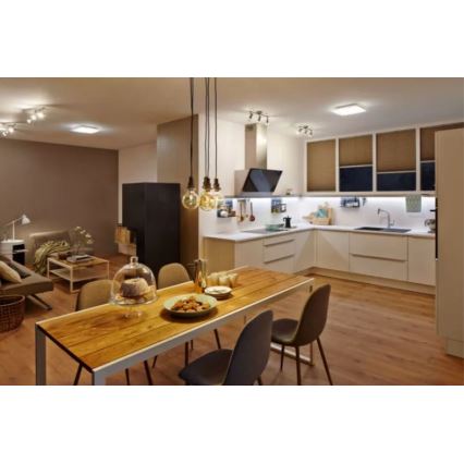 Ledvance - Стельовий LED світильник LUNIVE LED/24W/230V