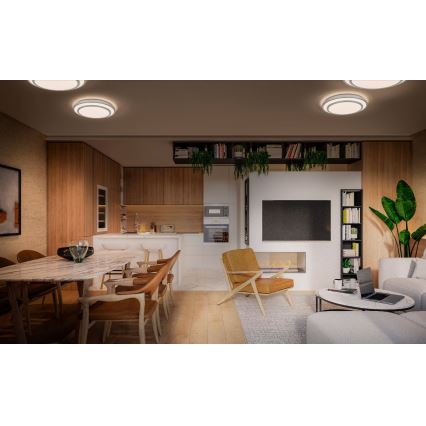 Ledvance - Стельовий LED світильник ORBIS BERLIN LED/16W/230V срібний
