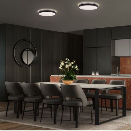 Ledvance - Стельовий LED світильник ORBIS LONDON LED/24W/230V чорний