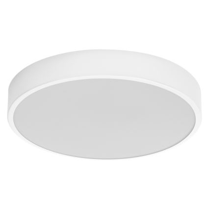 Ledvance - Стельовий LED світильник ORBIS SLIM LED/20W/230V білий