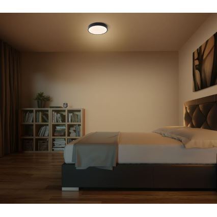 Ledvance - Стельовий LED світильник ORBIS SLIM LED/20W/230V чорний