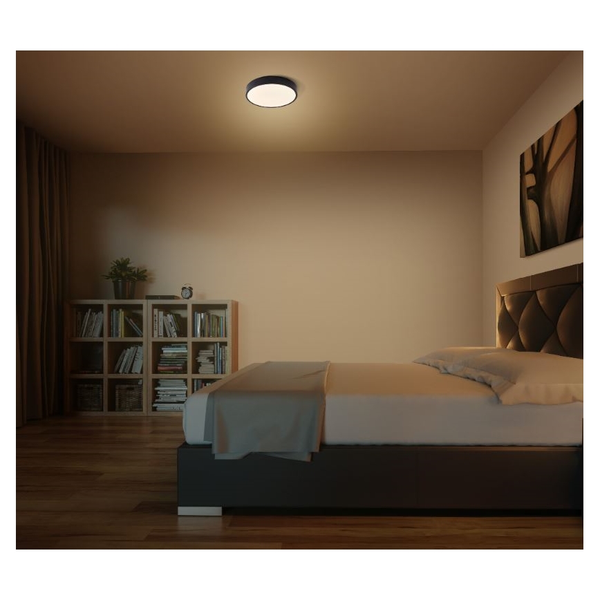 Ledvance - Стельовий LED світильник ORBIS SLIM LED/20W/230V чорний
