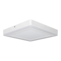 Ledvance - Стельовий LED світильник SQUARE LED/18W/230V