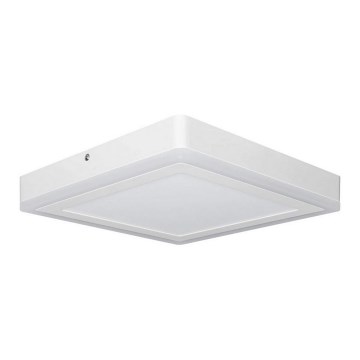 Ledvance - Стельовий LED світильник SQUARE LED/18W/230V