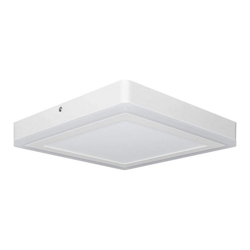 Ledvance - Стельовий LED світильник SQUARE LED/18W/230V