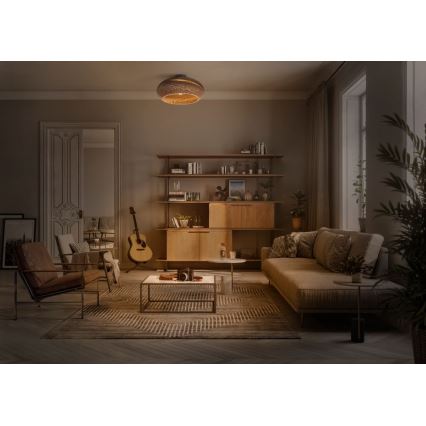 Ledvance - Стельовий світильник DECOR CARDBOARD 1xE27/15W/230V діаметр 40 см