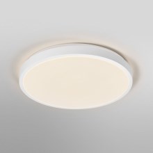 Ledvance - Стельовий LED світильник ORBIS LONDON LED/36W/230V білий