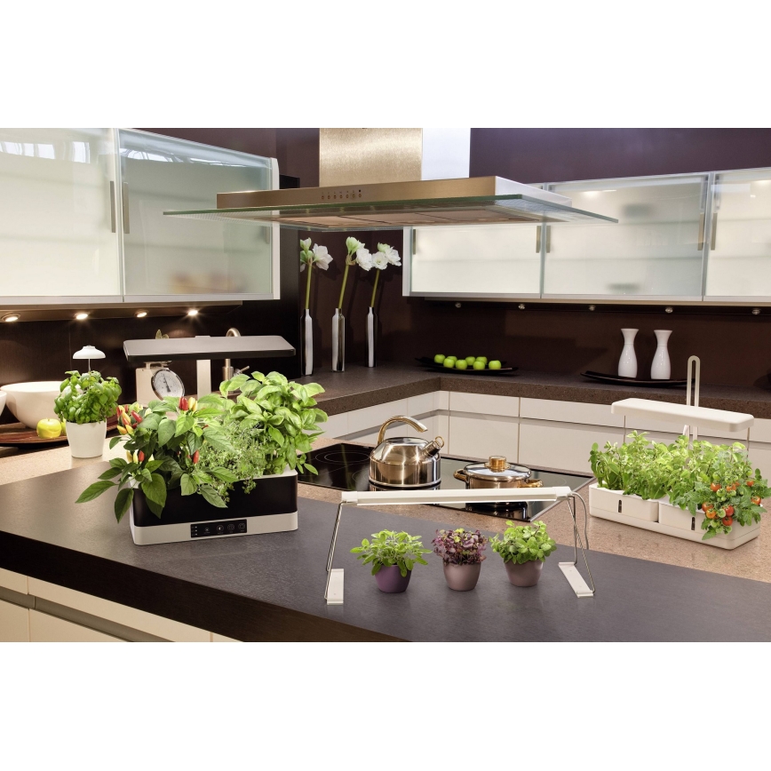 Ledvance - Светодиодная лампа для растений с регулированием яркости GARDEN KIT LED/24W/230V