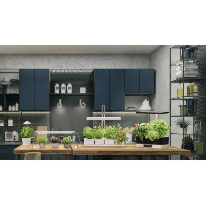 Ledvance - Светодиодная лампа для растений с регулированием яркости GARDEN KIT LED/24W/230V