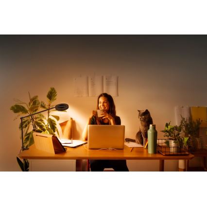 Ledvance - Светодиодная лампа с зажимом и регулированием яркости SUN@HOME LED/15W/230V 2200-5000K CRI 95 Wi-Fi