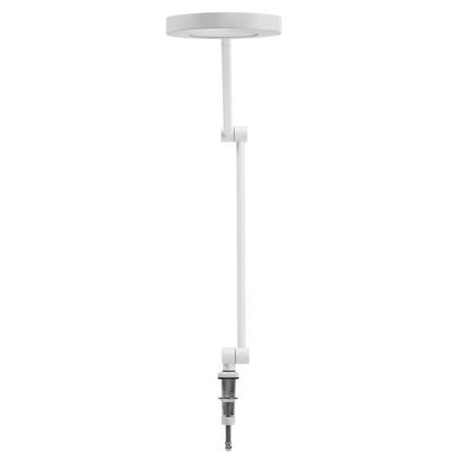 Ledvance - Светодиодная лампа с зажимом и регулированием яркости SUN@HOME LED/15W/230V 2200-5000K CRI 95 Wi-Fi