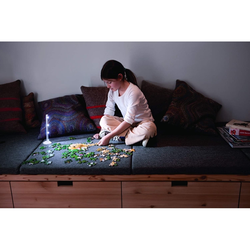 Ledvance - Светодиодный навигационный светильник LEDSTIXX 4xLED/1,5W/4,5V