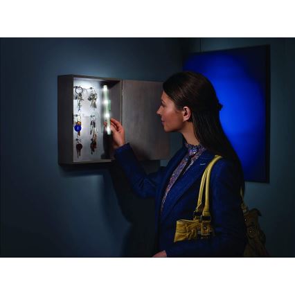 Ledvance - Светодиодный навигационный светильник LUMISTIXX 4xLED/0,6W/4,5V